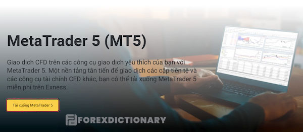 MetaTrader 5 (MT5)