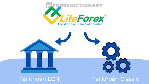 LiteForex hiện đang cung cấp 2 loại tài khoản chính cho người dùng