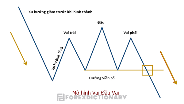 Giải đáp các thắc mắc về mô hình vai đầu vai