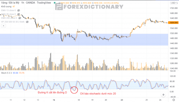 Đảm bảo đường %K cắt trên đường %D và Stochastic nằm dưới mức 20