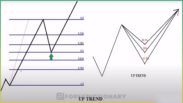 Các mức quan trọng của Fibonacci Retracements là gì?