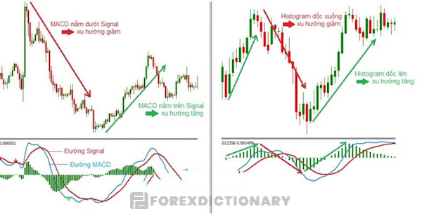 Chỉ báo xác định xu hướng MACD Histogram