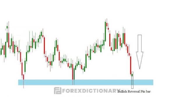 Vùng giá hỗ trợ xuất hiện cây nến Bullish Reversal Pin bar