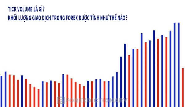 Tick Volume Forex được hình thành như thế nào?