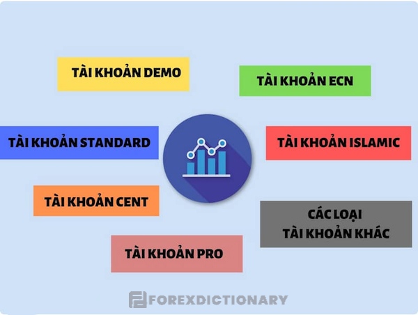 Những loại tài khoản forex nổi bật trên các sàn giao dịch