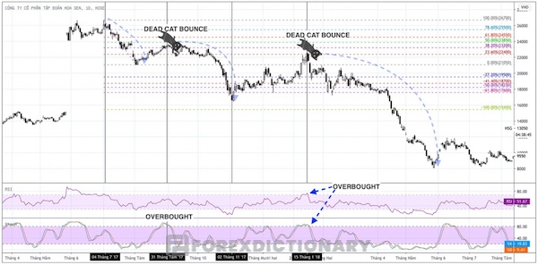 Tìm kiếm độ cao, độ sâu của mô hình Dead Cat Bounce thông qua ví dụ minh họa