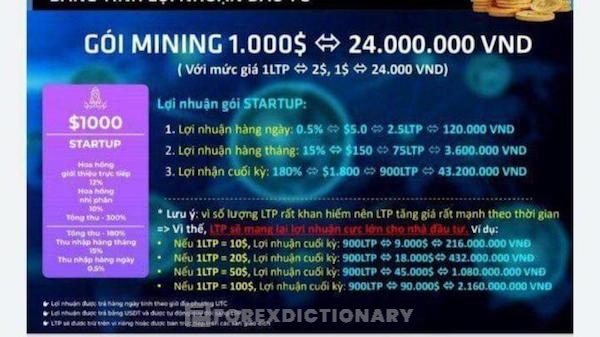 Các gói đầu tư của dự án Lifetion Coin