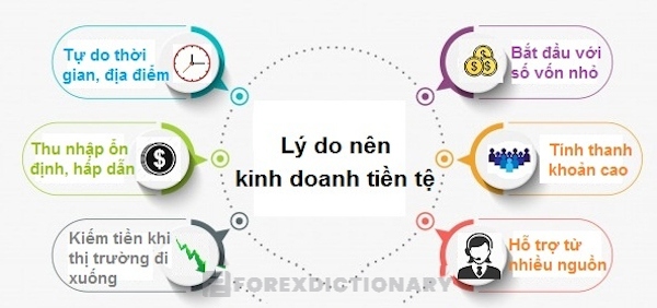 Những lý do nên tham gia kinh doanh tiền tệ dành cho các trader