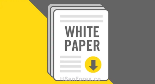 Hãy đánh giá, phân tích về tính khả thi của dự án trên Whitepaper nhé