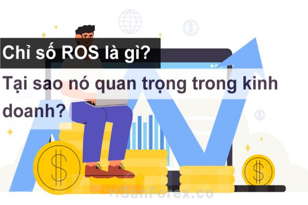 Khái niệm cơ bản cho chỉ số ROS trong kinh doanh