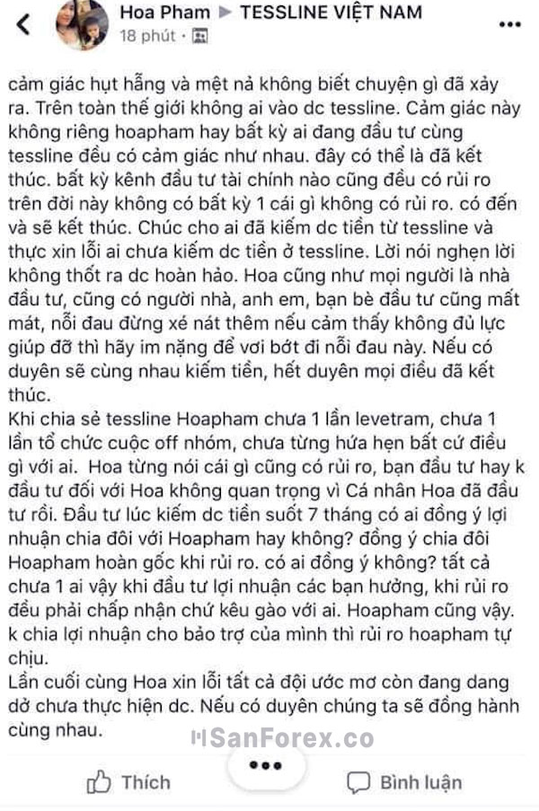 Tâm sự của một trong hai trưởng nhóm Tessline Việt Nam