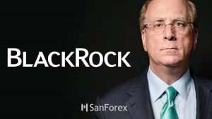 BlackRock là gì? Hành trình dẫn dắt tương lai tài chính thế giới?